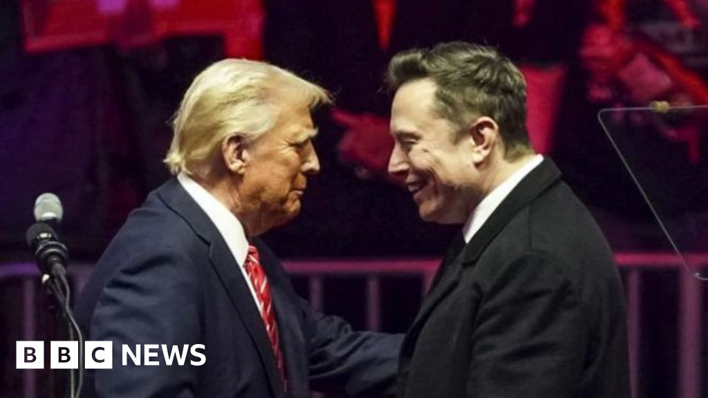 Trump ally Musk is remaking government – but will they clash?