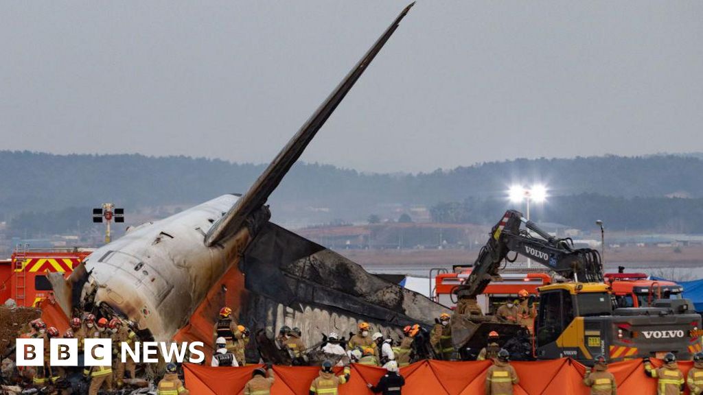 S Korea orders all airports to install bird detection cameras