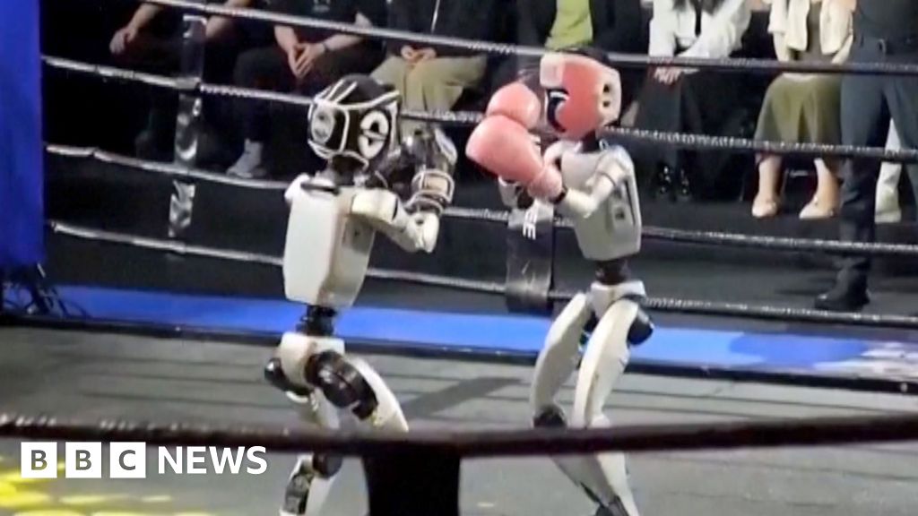 Humanoid robots fight in Chinese boxing competition
