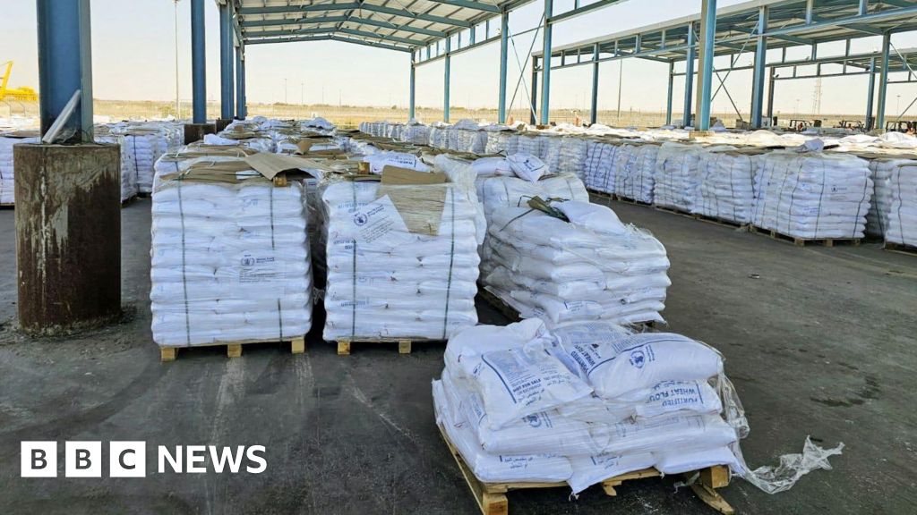 UN says no aid yet distributed in Gaza as international pressure on Israel mounts