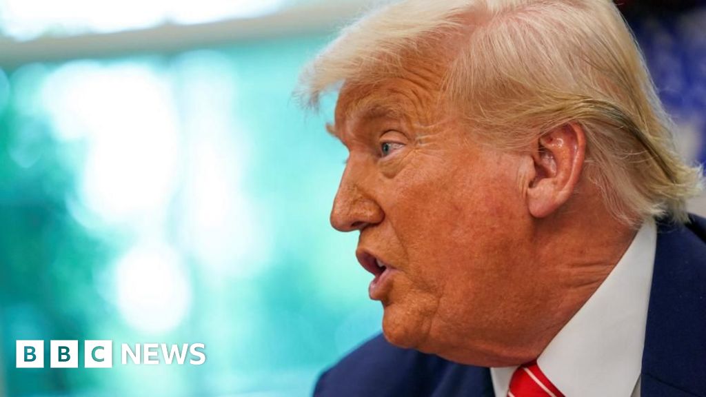 Why has Trump banned travel from these 12 countries?