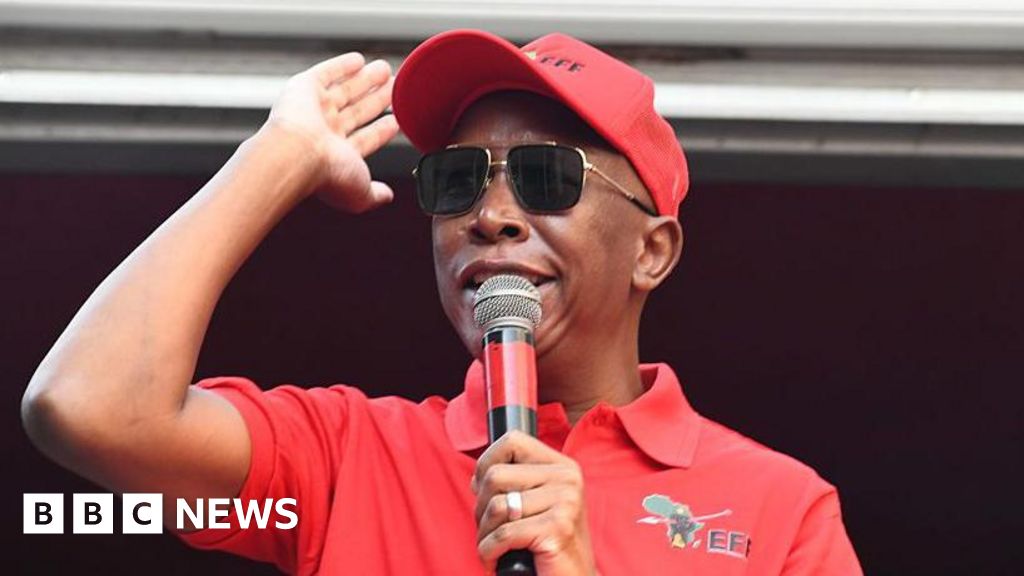 South African politician banned from UK by Home Office