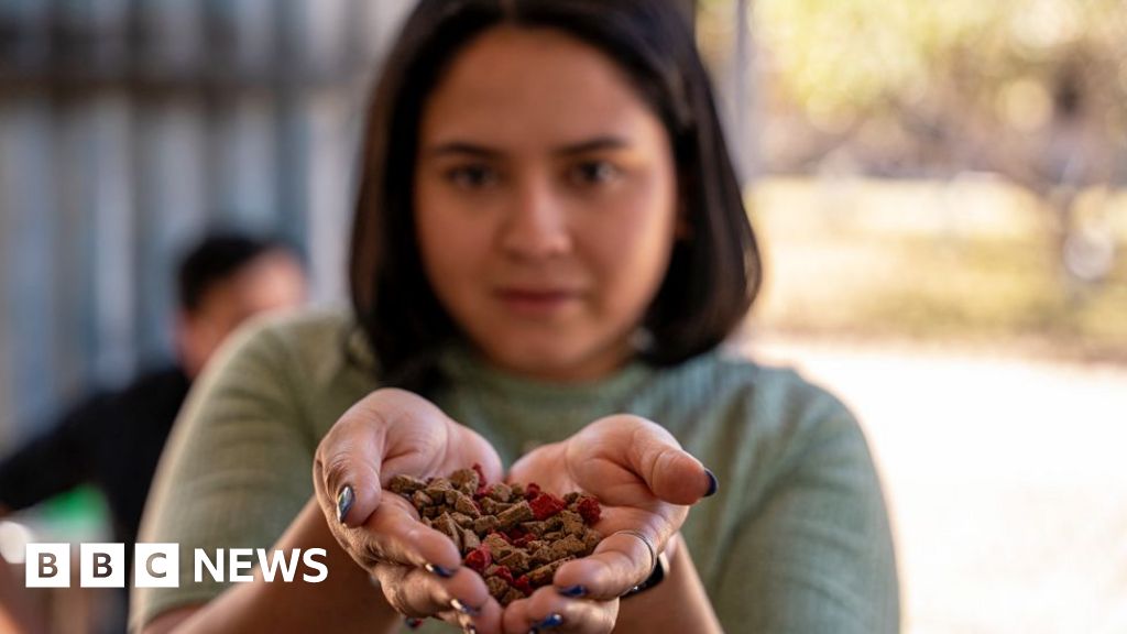 Honduras scheme turning cooking oil into soap and dog food