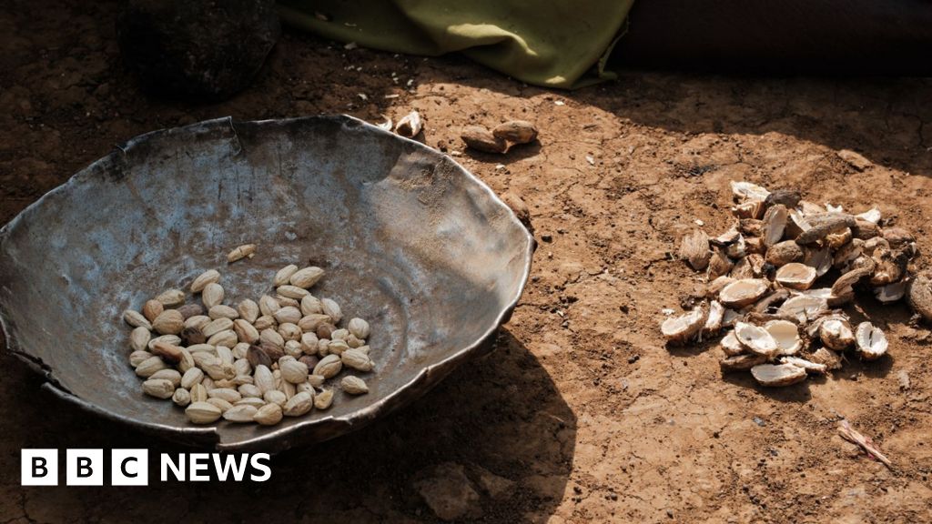 Medics say more than dozen children in Darfur camp have died because of food shortages