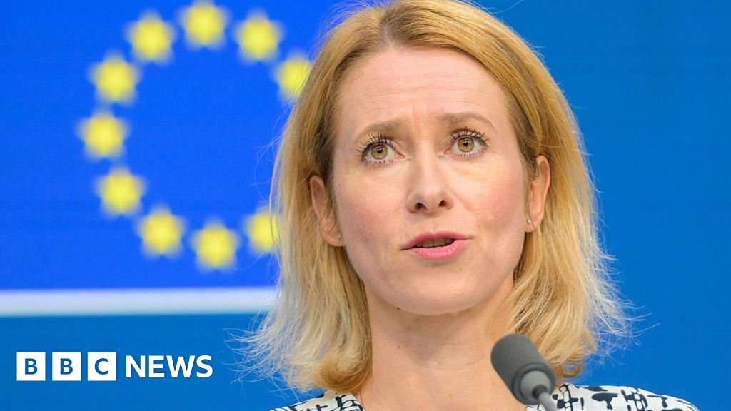 Proposed Ukraine land concessions are Putin’s trap, EU top diplomat tells BBC