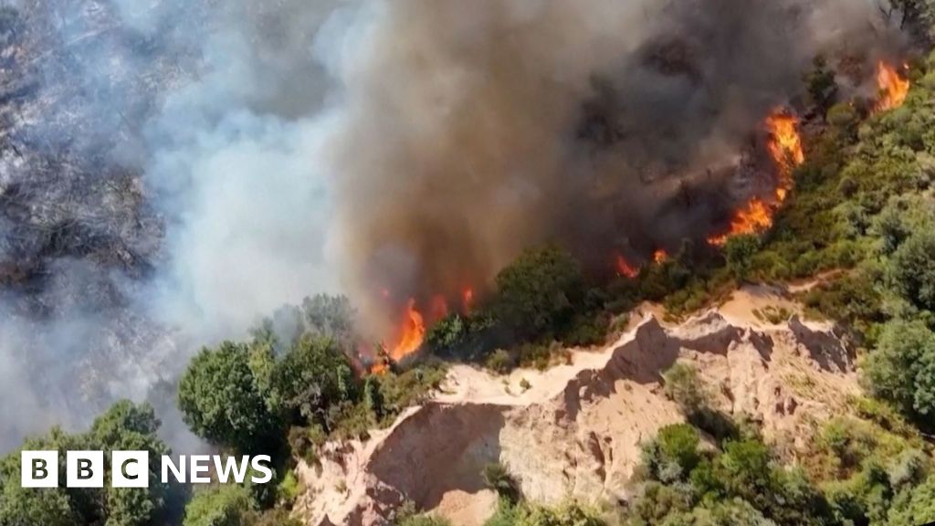 Europe’s wildfires seen from above