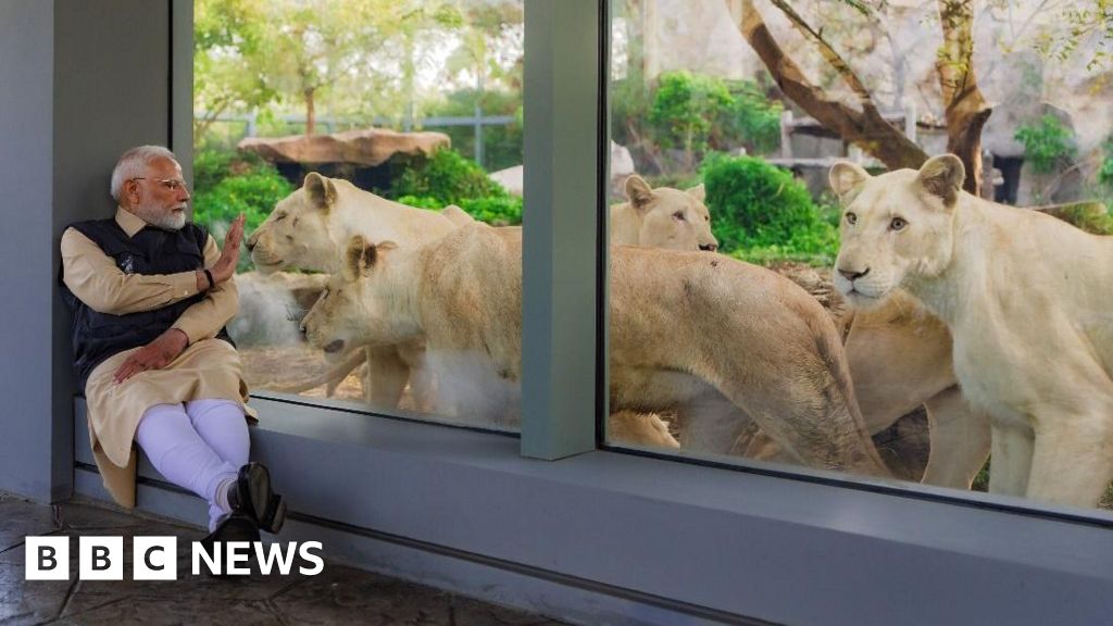 India’s top court sends investigators in to vast private animal collection