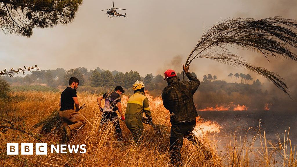 Man run over by own bulldozer while fighting Portugal wildfires