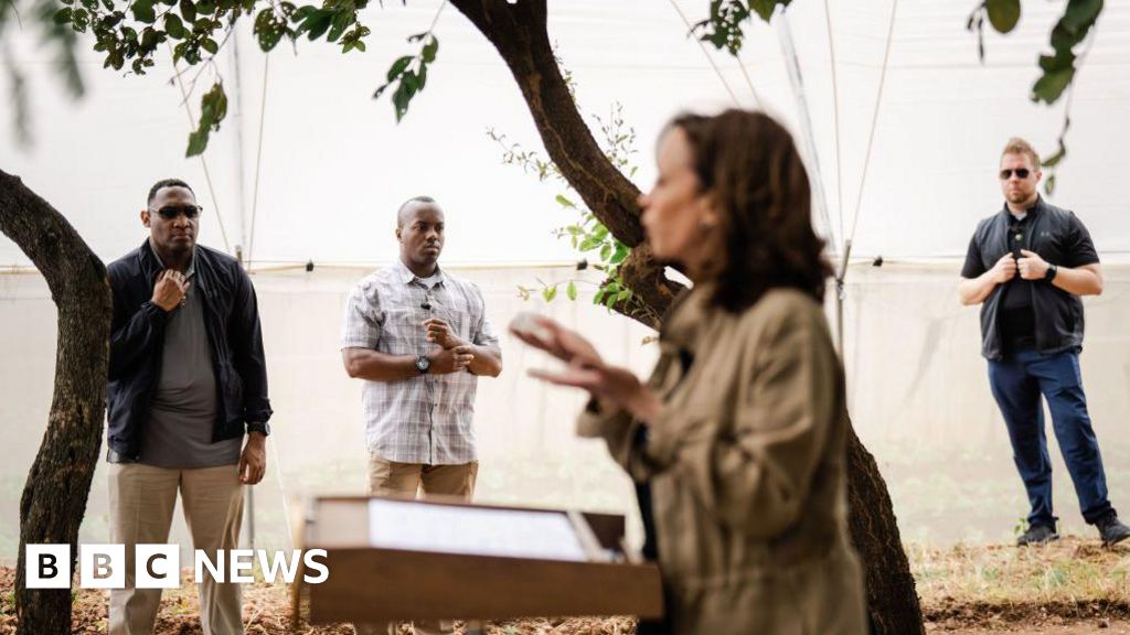 Why has Kamala Harris’ Secret Service detail been withdrawn?