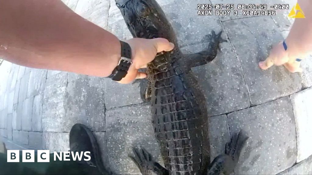 Police officer removes alligator from pool with bare hands