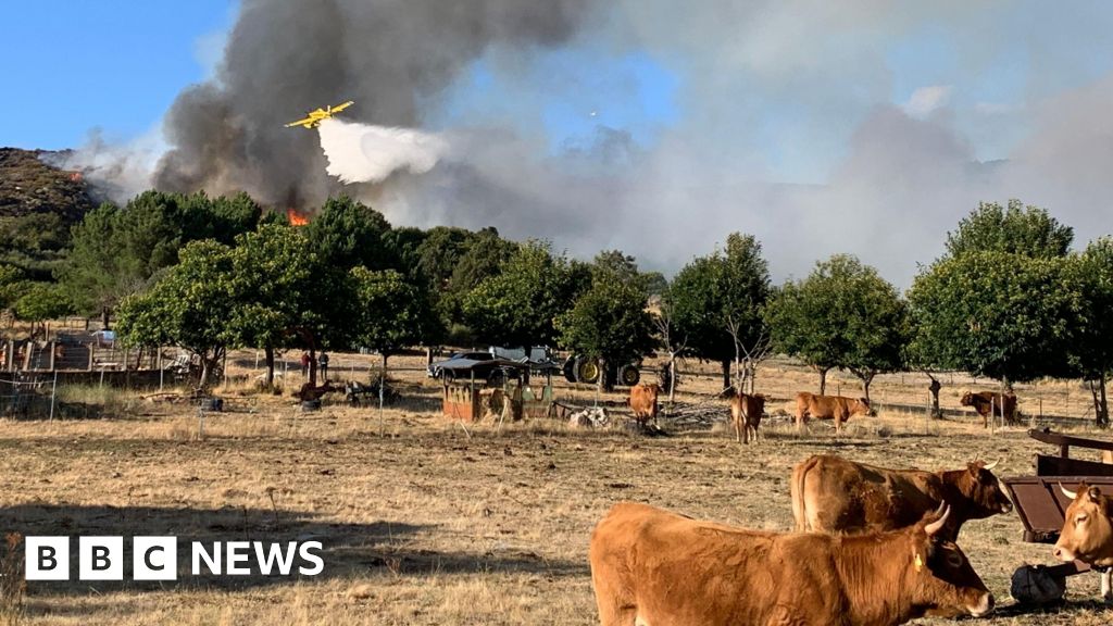 Spain counts the cost of “nightmare” wildfire summer