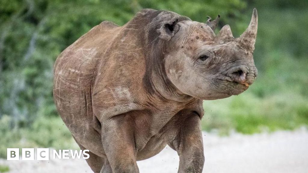Army sent into Etosha National Park