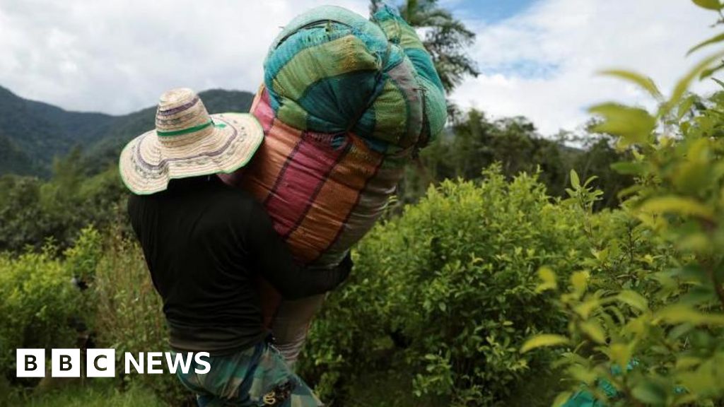 US designates Colombia country ‘failing to cooperate in drug war’