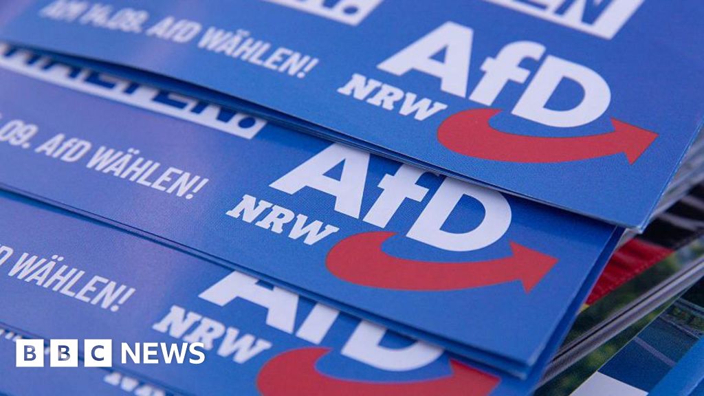 Germany’s far-right AfD suffers series of candidate deaths ahead of local vote