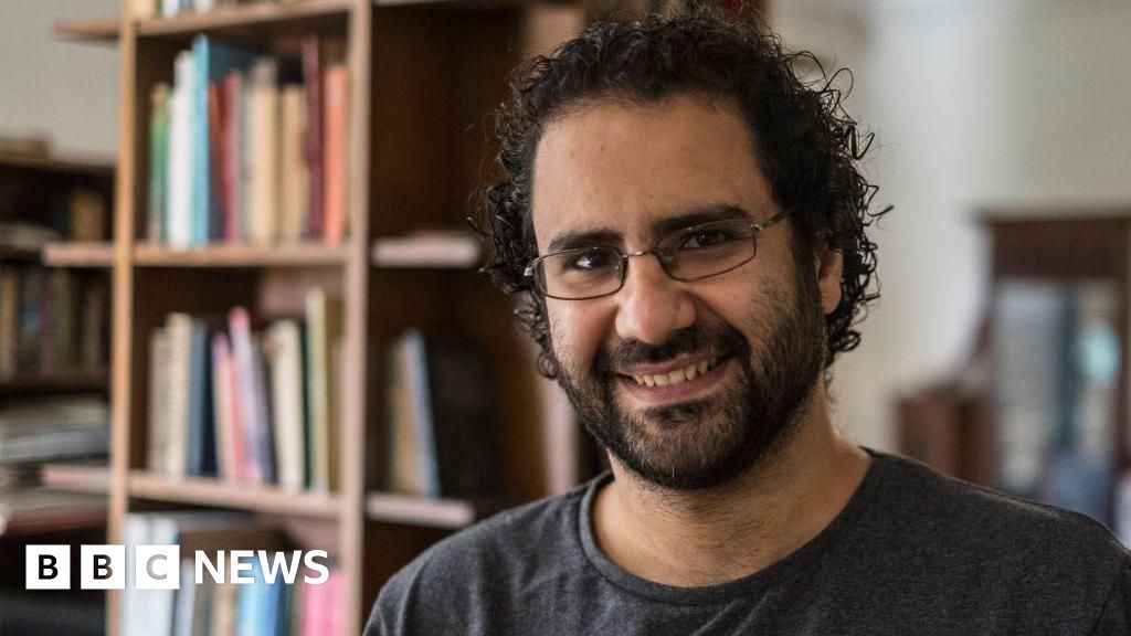 Egypt’s president pardons prominent activist