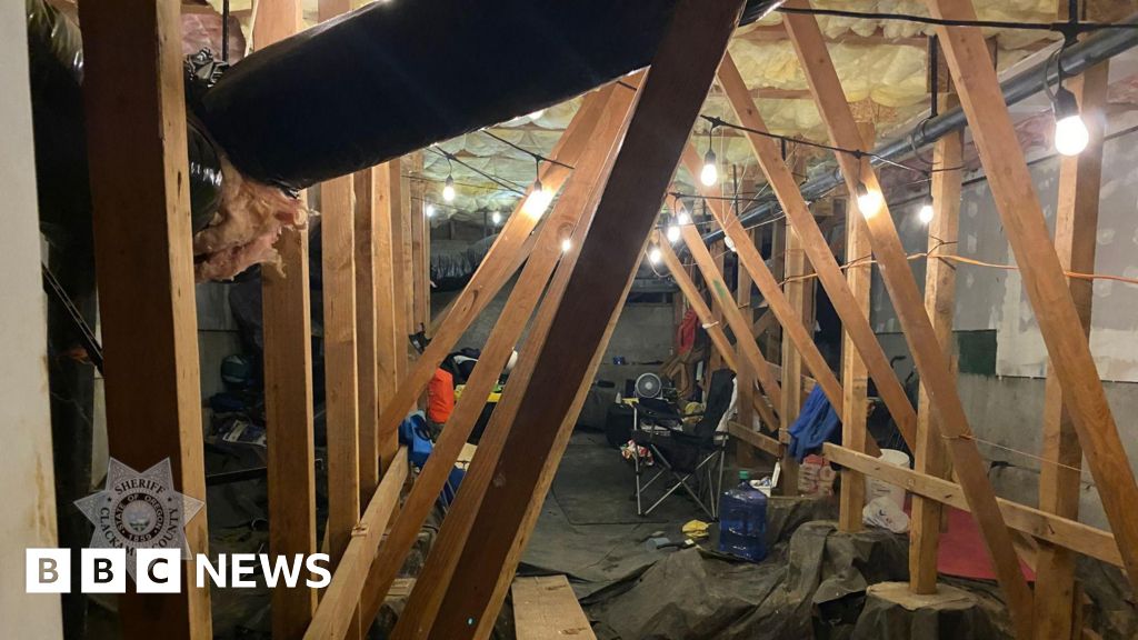 ‘Strange noises’ heard before squatter found living in house with lights, TV and bed