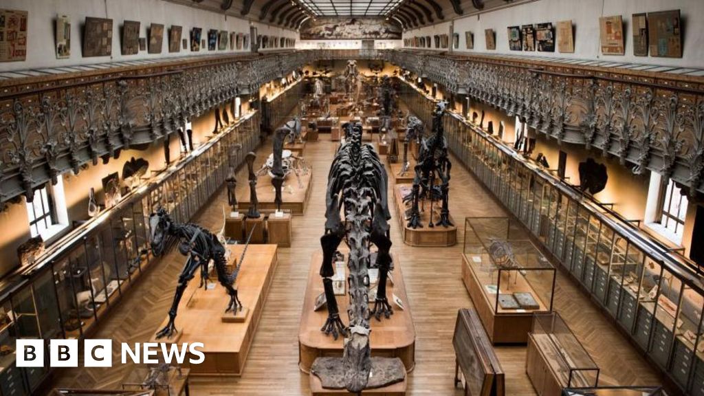 Woman charged after 1.5m euros of gold stolen from Paris museum