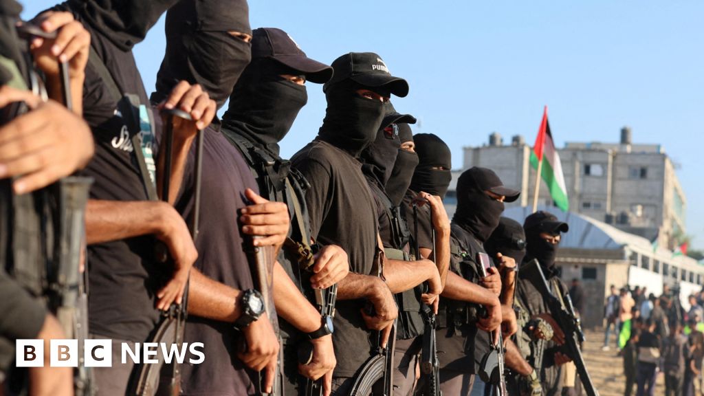 What happens next in Gaza ceasefire plan after hostage release?