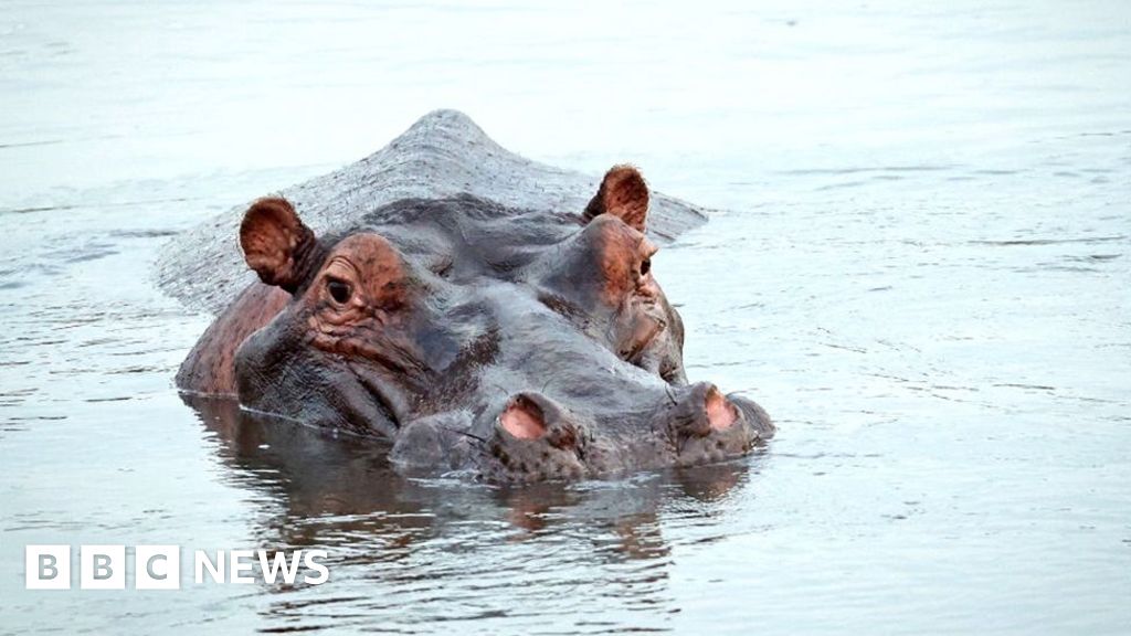 South Africa debates changing name of world-famous reserve