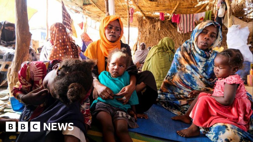 At least 60 people killed in drone strike in besieged Sudan city