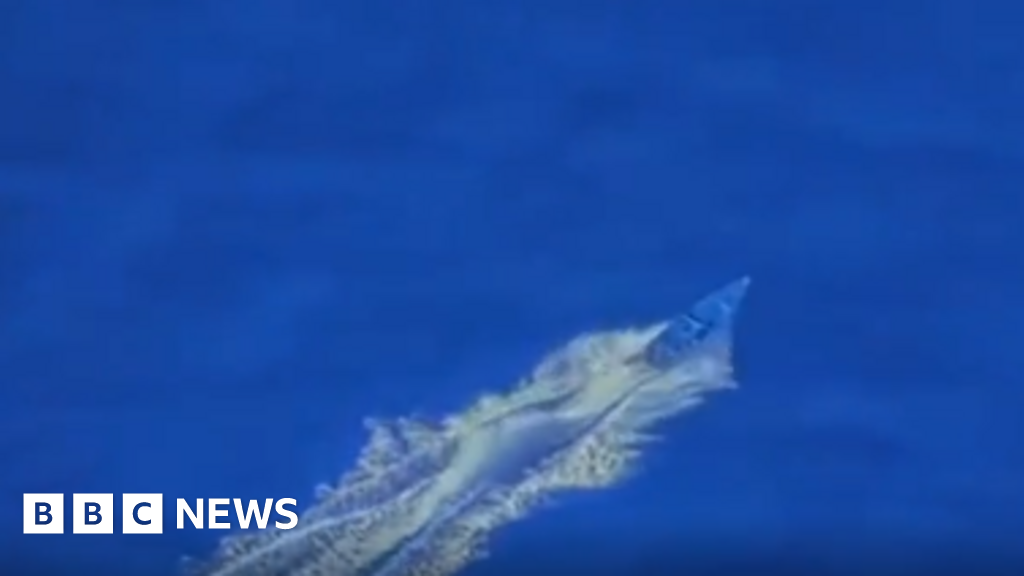 Colombia’s president says boat struck by US was carrying Colombians