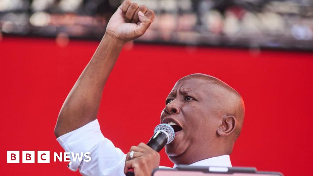 South African firebrand MP convicted of firing a gun in public